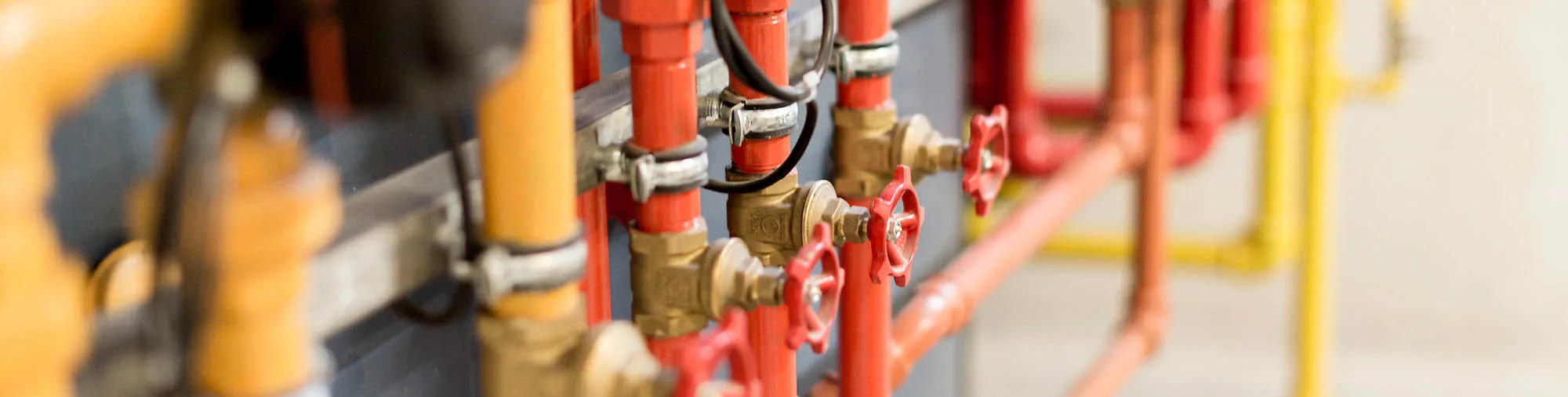 Thermal store versus hot water cylinder