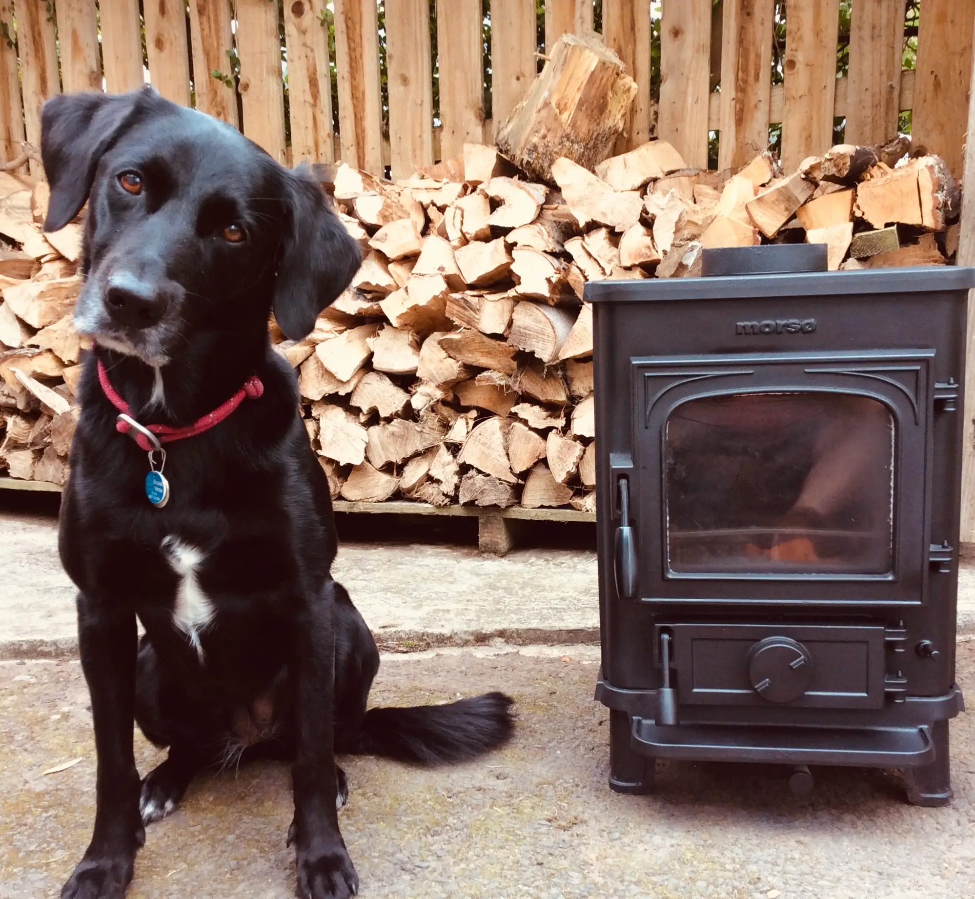 Tiger, a black labrador, sitting beside a small wood‑burning stove with split logs stacked behind