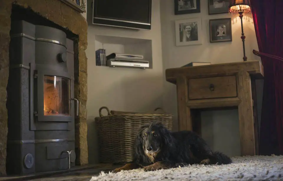 A Walltherm boiler stove alight in a stone fireplace, a dog asleep on the rug in front of it