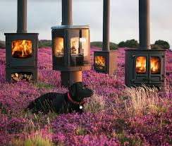 wood stoves in Edinburgh